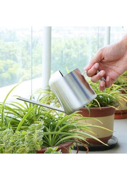 Mini Kapalı Sulama Çelik Püskürtme Bitkiler Için Çelik Çıtalar Ev 300ML (Yurt Dışından)