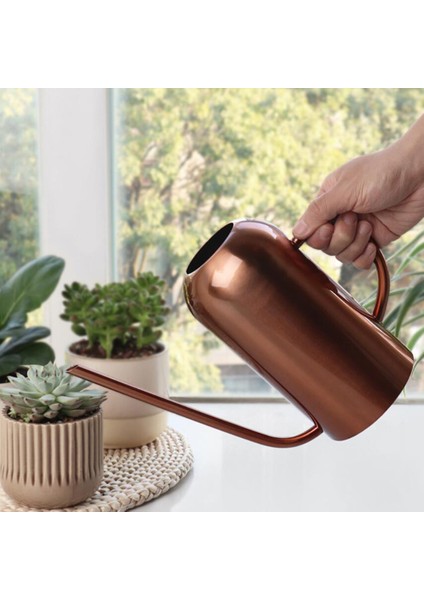 50 Oz1.5l Sulama Uzun Spout Ev Bitkileri Kapalı Bahçe Açık Bronz Iş Yapabilir (Yurt Dışından)