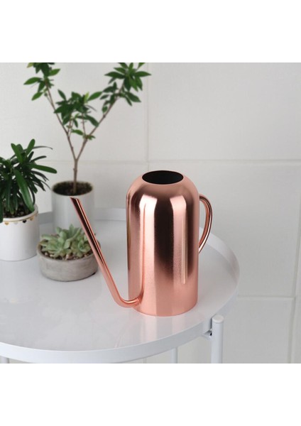 50 Oz1.5l Sulama Uzun Spout Ev Bitkileri Kapalı Bahçe Açık Bronz Iş Yapabilir (Yurt Dışından)