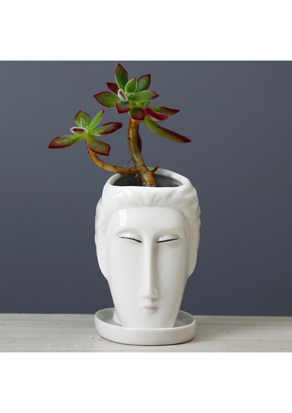 Yüz Kafa Ekici Bahçe Bitki Pot Kaktüs Flowerpot Masaüstü Dekor Çocuk (Yurt Dışından) indirimleri