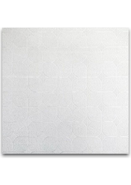 Kod:238 Dünya Desen 60×60 Karolam