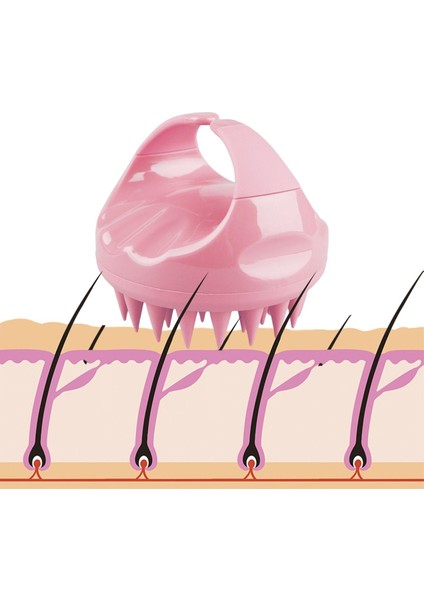 Kafa Derisi Masajı Şampuan Fırçası, Islak ve Büyüme Ölü Pul Pul Cildi, Pembeyi Kaldırır