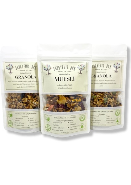 Granola Müsli Kuru Meyveli 3 x 100 gr Kahvaltılık Gevrek Seti Sağlıklı Kahvaltı Beslenme Bol Lif Protein Kaynağı Vegan