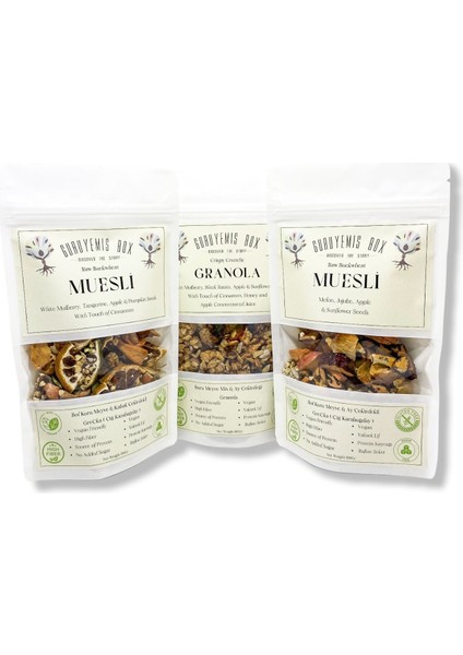 Granola Müsli Kuru Meyveli 3 x 100 gr Kahvaltılık Gevrek Seti Sağlıklı Kahvaltı Beslenme Bol Lif Protein Kaynağı Vegan