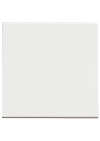 RW4001M2 Classia Anahtar 10AX 250V Vida Bağlantı 2 Modül Beyaz