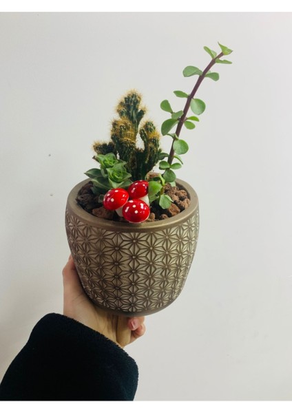 Ayaklı Saksıda Aranjman