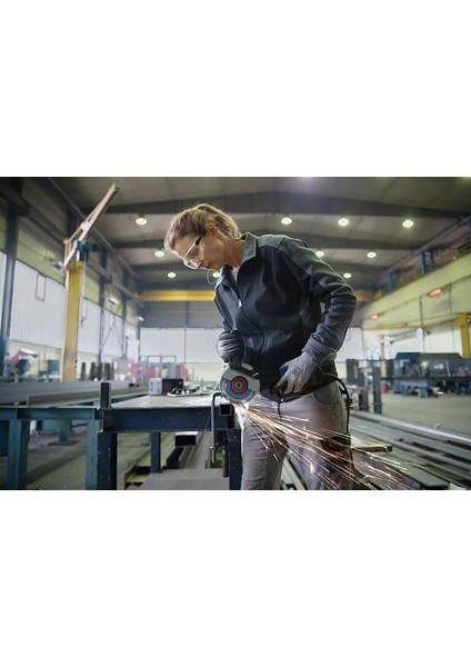 Gwx 17-125 S X-Lock Avuç Taşlama Makinesi modelleri