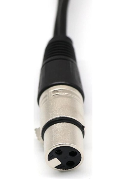 Çift 2 Xlr Erkek Fişine Kadın 3 Dengeli Yama Kablosu Ayırıcı Kablosu fiyatları
