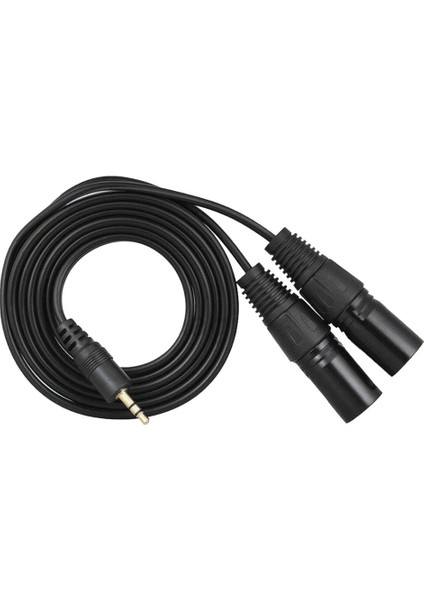 1/8 Inç Trs Erkek Ila Çift Xlr Erkek Ayırıcı Yama Kablosu, Dengesiz Kulaklık Erkek Ila Erkek 1,5 Metreye