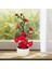 2pcs Sahte Bitki Yapay Saksı Çiçekleri Ev Dekoru Gül Kırmızı (Yurt Dışından) 3