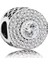 Oval Ortası Taşlı Charm 1
