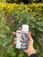 Apple iPhone 11 Uyumlu Aynalı - Telefon Kılıfı - Apple iPhone -Kılıf 1