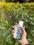Apple iPhone 11 Uyumlu Aynalı - Telefon Kılıfı - Apple iPhone -Kılıf 3