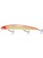 Japanese Minnow HG2539 1