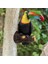 Toucan Kuş Heykelcik Asılı Koyu Gri (Yurt Dışından) 2