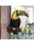 Toucan Kuş Heykelcik Asılı Koyu Gri (Yurt Dışından) 4