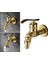 Açık Bahçe Ev Banyo Spigot Bibcock Dekoratif Musluk Altın (Yurt Dışından) 4