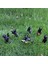 6pcs Stakes Glow Bahçe Arka Bahçesi Minyatür Süs Kolay Ekleme (Yurt Dışından) 3