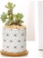 Etli Tencereler Mini Dekorasyon Ev Ofisi Flowerpots Süs Stili 3 (Yurt Dışından) 2