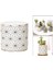 Etli Tencereler Mini Dekorasyon Ev Ofisi Flowerpots Süs Stili 3 (Yurt Dışından) 4