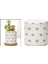 Etli Tencereler Mini Dekorasyon Ev Ofisi Flowerpots Süs Stili 3 (Yurt Dışından) 5