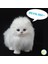 Kedi Şekli Peluş Oyuncak (Yurt Dışından) 4
