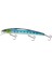 Minnow Maket Balık HG2532 Japanese Minnow 13CM 17GR Maket Balık HG2532 1
