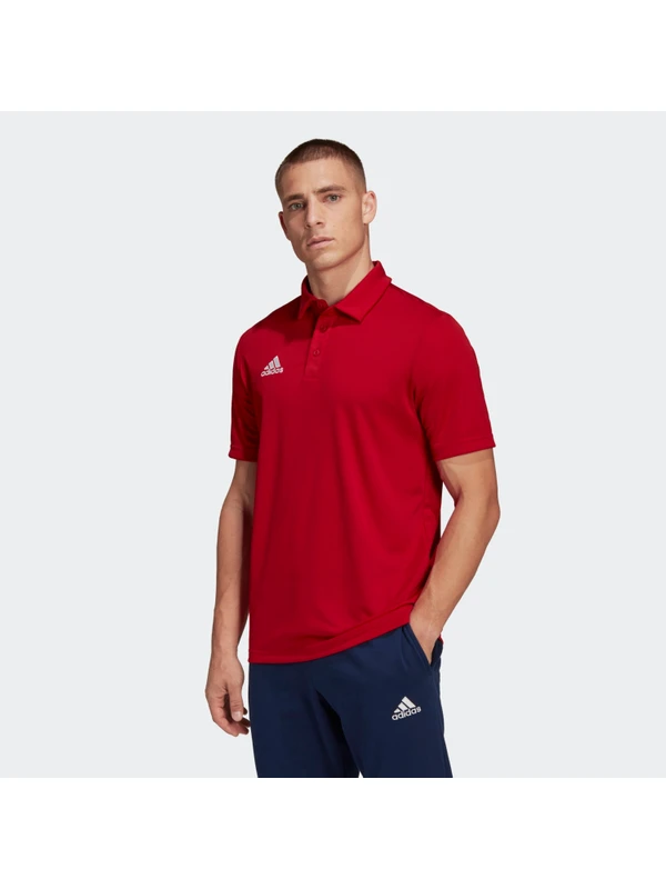 adidas Entrada 22 Erkek Polo Yaka Tişört H57489