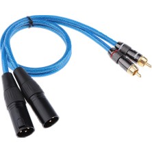 2 Xlr Erkek - 2 Rca Erkek Hifi Ses Yaması (Yurt Dışından)