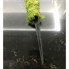Green Deco Bitkidestek Çubuğu (Yosun Sopası) 60CM