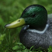 Dolity 2 Çift Yapay Mallard Ördek Tuzağı Heykel