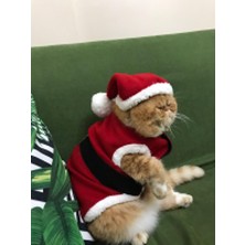 Sosyal Patiler Noel Baba Kedi Kıyafeti Kırmızı Xs (2-4 kg)