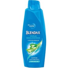 Blendax Yoğun Nemlendirme Aloe Vera Özlü Şampuan 500 Mlx 2 Adet