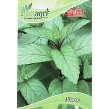 Sunagri Tohumculuk Nane Tohumu  Ata Tohum