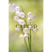 Capeso Soft Linen Oda Spreyi 250 ml