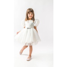 Çilek Bebe Tüllü Ve Saten Doğum Günü Ve Bayramlık Çocuk Abiyesi