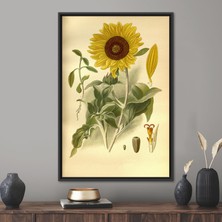 Kayra Export 1 Parça Siyah Çerçeveli  Botanik  Kanvas Çiçek Kanvas Çiçek Duvar Dekoru