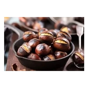 Kayalı Organik Kestane