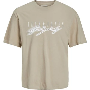 Jack & Jones Erkek T-Shirt 12230179