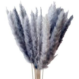 15X Kurutulmuş Pampas Çim Phragmites Sazlık Oda Çiçek Aranjman Izgarası (Yurt Dışından)