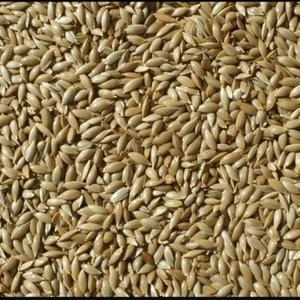 Gaga Yem Kanarya Sade Yem 1 kg Aspur