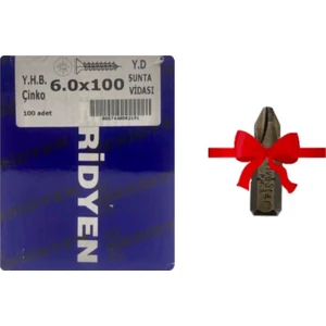 6x100 Sunta Vidası 100 Adet
