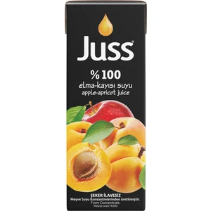 Elma Kayısı 27 x 200 ml