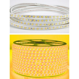 Çift Sıra Esnek Hortum Şerit LED Gün Işığı Rengi + 220V FIŞ/1,2,3,4,5,10,15,20,25,50,100 Metre