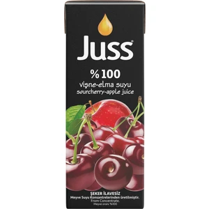 %100 Vişne & Elma Meyve Suyu 200 ml x 27 Adet
