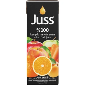 %100 Karışık Meyve Suyu 200ML x 27 Adet
