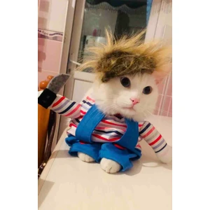 Sosyal Patiler Katil Bebek Kedi Kostümü
