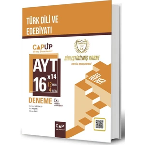AYT Türk Dili ve Edebiyatı 16 x 24 Up Deneme
