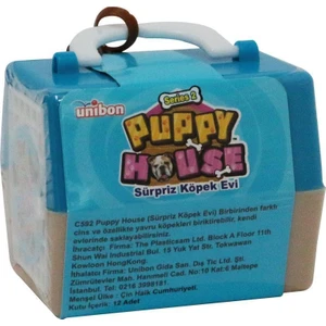 Puppy House Şekerlemeli Süpriz Köpek Evi