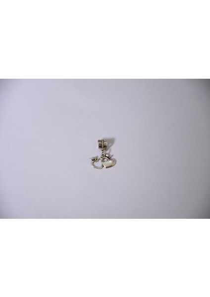 Takantalana Worldshop Bileklik Uyumlu Gümüş Charm
